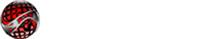 CI Web Group Digital Marketing Agency
